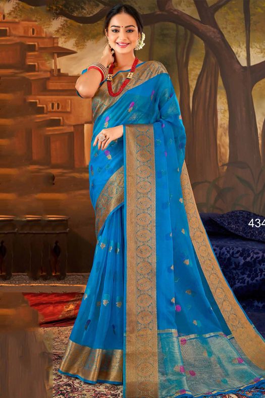 Sky Blue Woven Organza Broad Border Saree