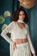 Off White Embroidered Georgette Lehenga