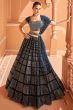 Black Cut Dana Embroidered Velvet Panelled Style Lehenga