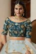 Powder Blue Embroidered Flared Net Lehenga